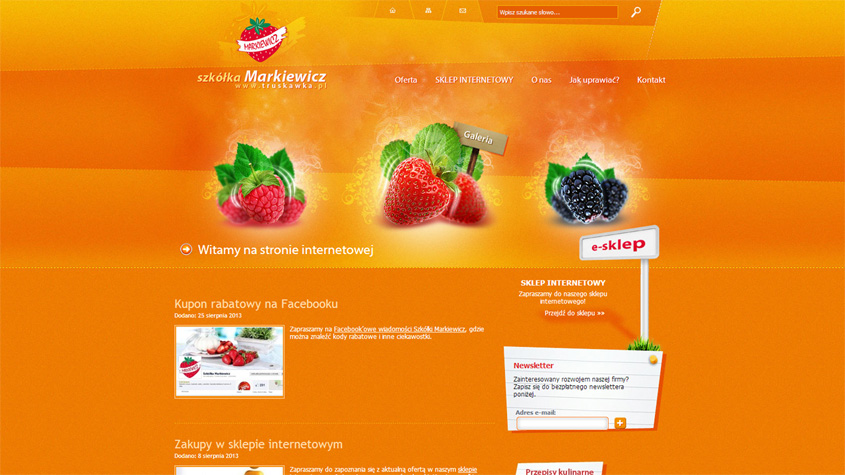 Пример оранжевой цветовой схемы сайта